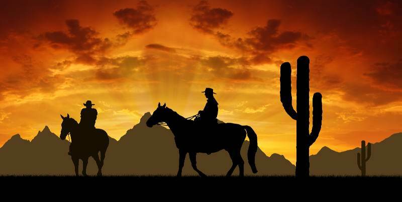 You and your new friend watch the sunset